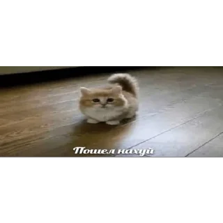 Sticker ставьте лайк если есть мама - 11