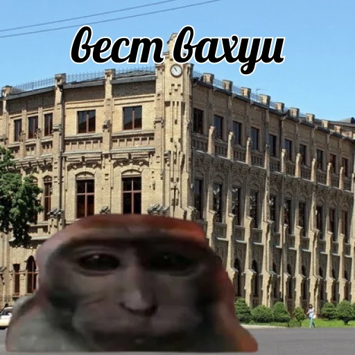 Sticker vahui_big_balls - 1