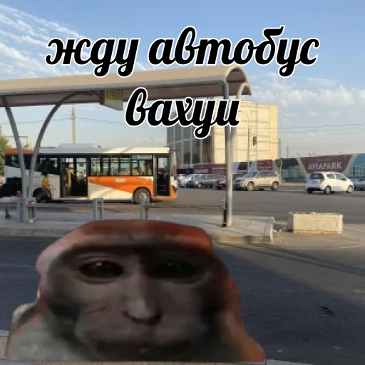 Sticker vahui_big_balls - 1