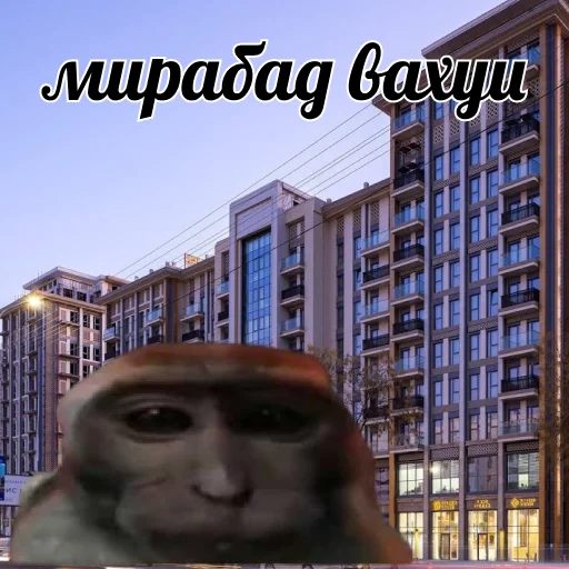 Sticker vahui_big_balls - 1