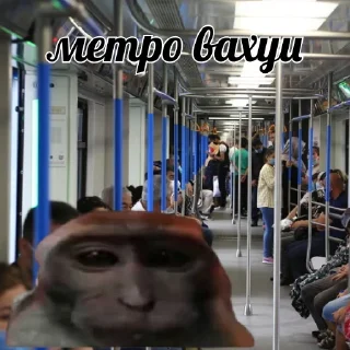 Sticker vahui_au - 5