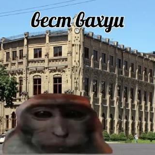 Sticker vahui_au - 11