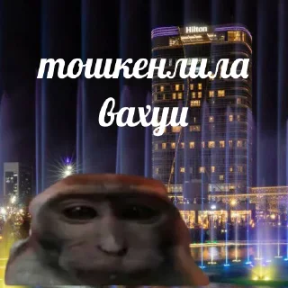 Sticker vahui_au - 7