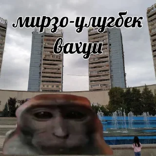 Sticker vahui_au - 9