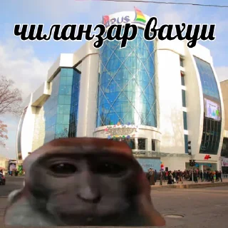 Sticker vahui_au - 2