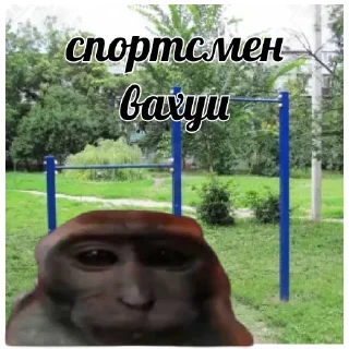 Sticker vahui_au - 8