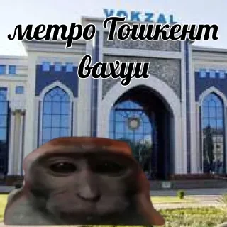 Sticker vahui_au - 6