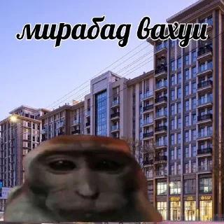 Sticker vahui_au - 0