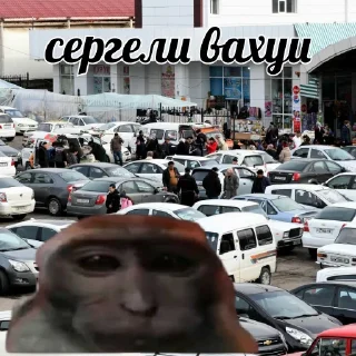 Sticker vahui_au - 10