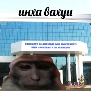 Sticker vahui_au - 4