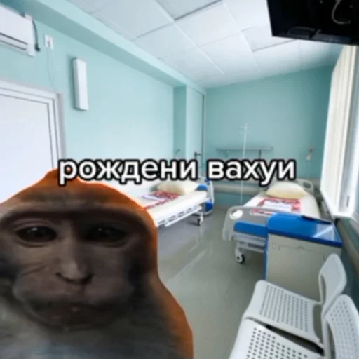 Стикер фулл комбо набор вахуи - 11