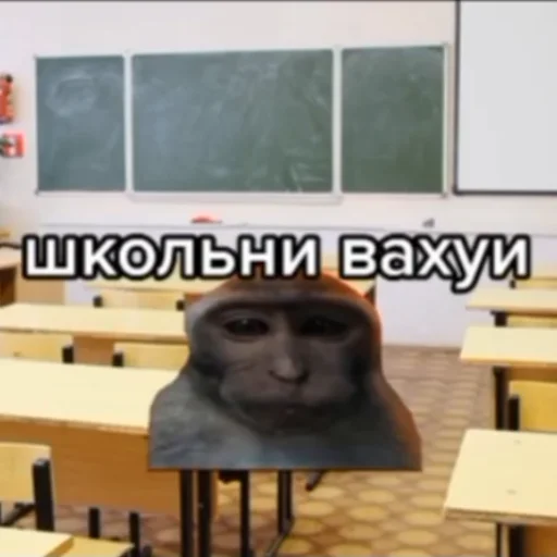 Стикер vahuibylisiskitty - 1