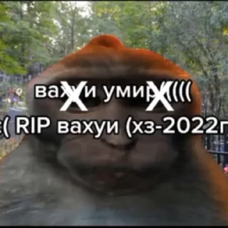 Стикер фулл комбо набор вахуи - 7