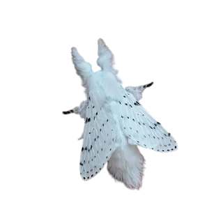 Стикер moth - 10