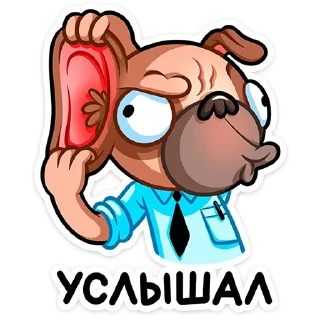 Sticker Мопс Валера (@TgSticker) - 8