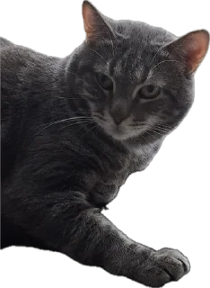 Sticker Valera time - 2