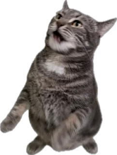 Sticker Valera time - 5