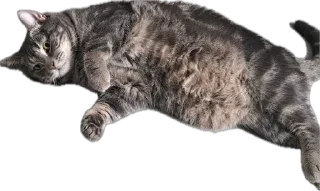 Sticker Valera time - 3