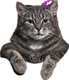 Sticker Valera time - 11