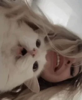 Стикер лерушка - 9