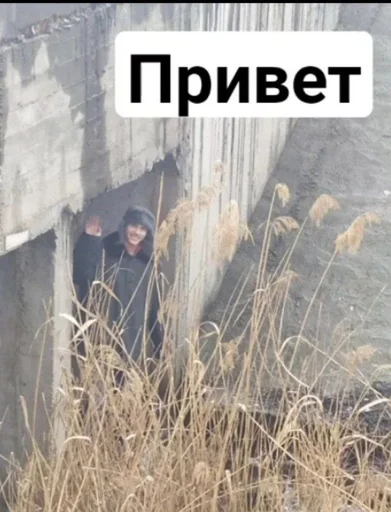 Sticker Валерьянка и Агуша :: @fStikBot - 2