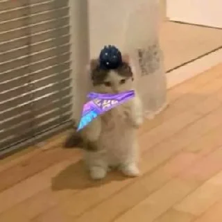 Sticker Valorant pack - 4