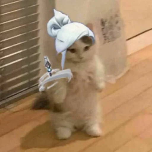 Sticker valorant_pack - 1