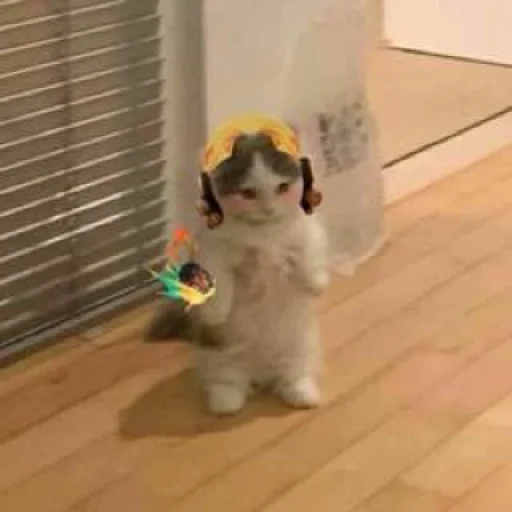 Sticker valorant_pack - 1