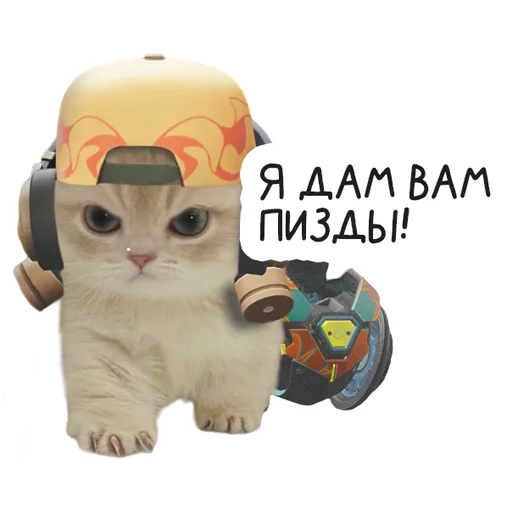 mammal animal cartoon