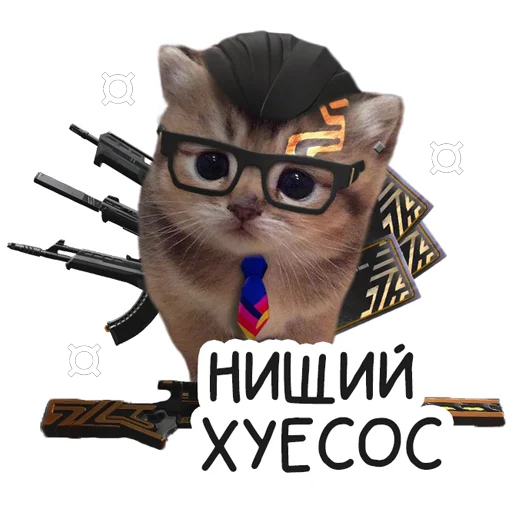 VALORANT CAT 18+ | @VALORANT_University - cartoon