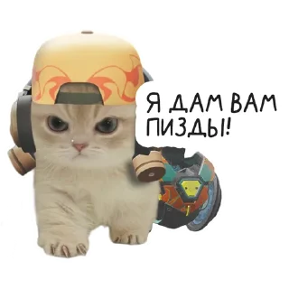 mammal animal cartoon