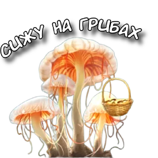 Sticker DMS (@hello_udalenka) - 6