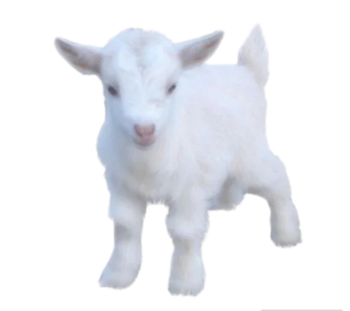 Sticker vampyrit - 1