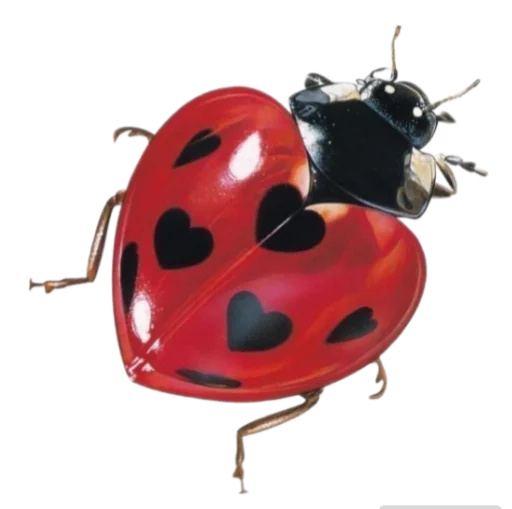 Стикер vampyrit - 1