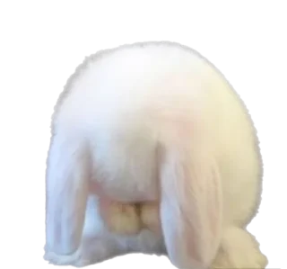 Стикер вампирит - 9