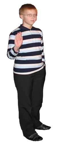 Стикер vaneksticker - 1