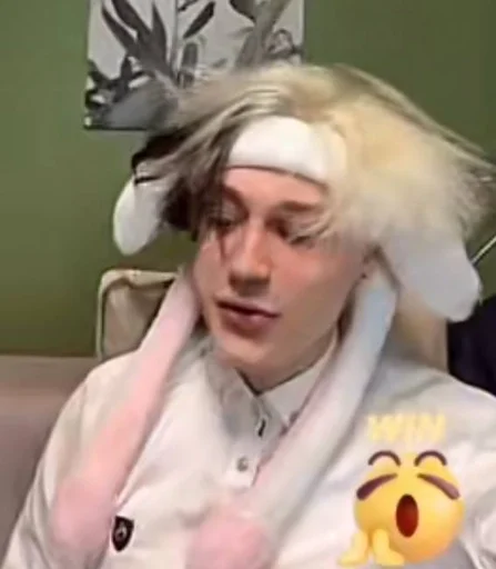 Человек человеческое лицо комнатный