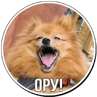 Sticker Var_diva - 1