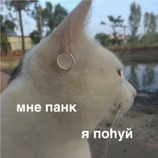 Sticker Варя не вывозит - 9