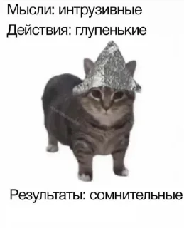 Sticker Варя не вывозит - 8