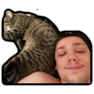 Стикер вашала - 1