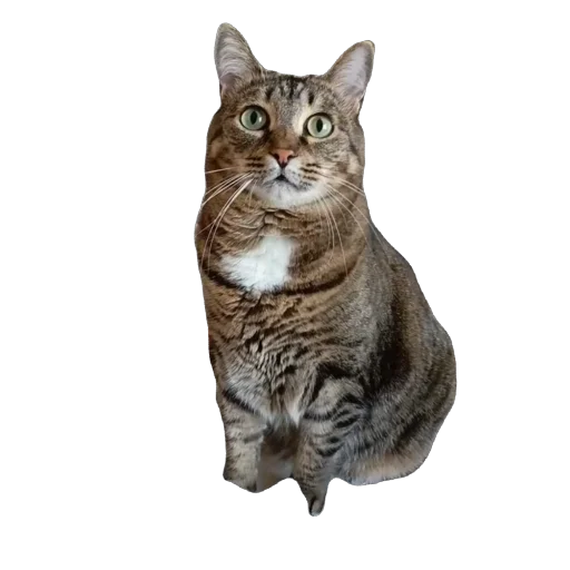 Sticker vasya6615 - 1