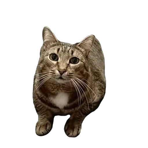 Sticker vasya6615 - 1