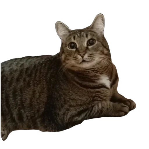 Sticker vasya6615 - 1