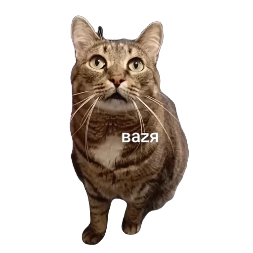 Sticker vasya6615 - 1