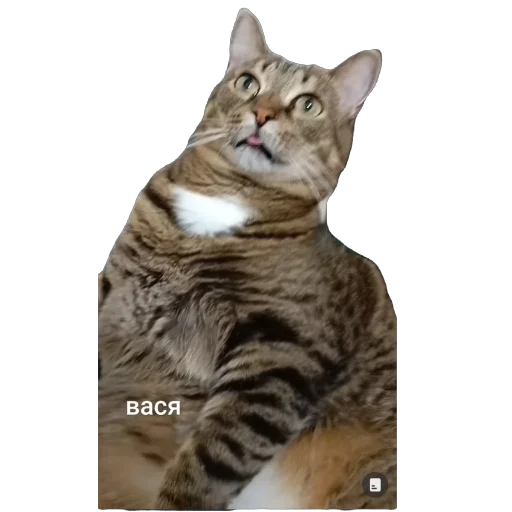 Sticker vasya6615 - 1