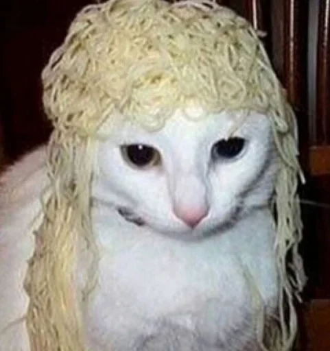 млекопитающее животное мех