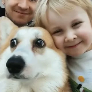 Sticker васюша - 8