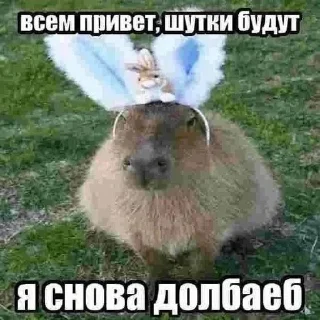 Стикер ватафак • @DayStikBot - 4