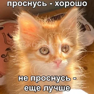 Стикер ватафак • @DayStikBot - 2